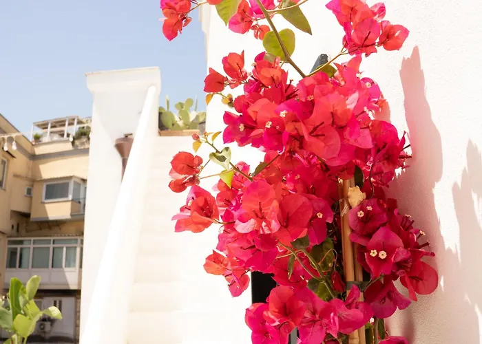 Hotel Civico 50 Napoli